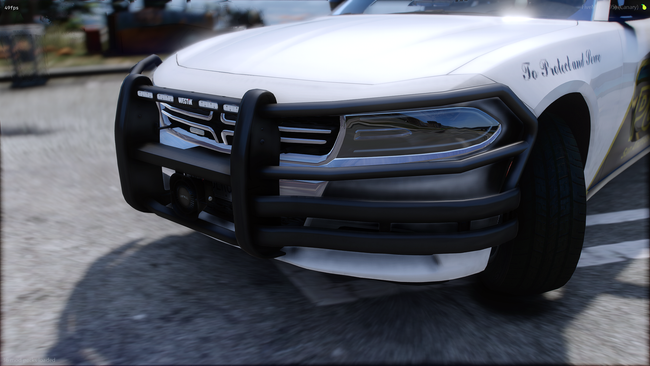 Pubcop Bravado 18 Buffalo preview 5